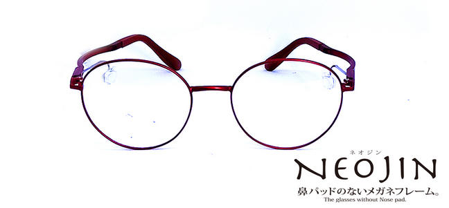 NJ3204 C20